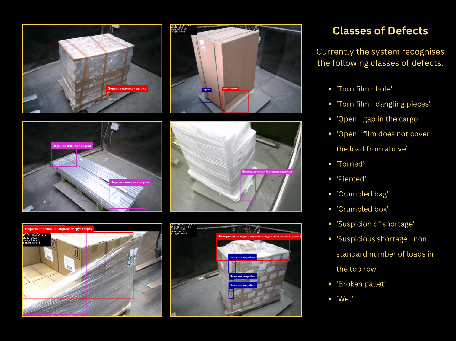 Pallet photos with detection boxes beside the damage classes the system recognizes: torn film, open gaps, dents, punctures, crumpling, suspected shortage and broken pallets.