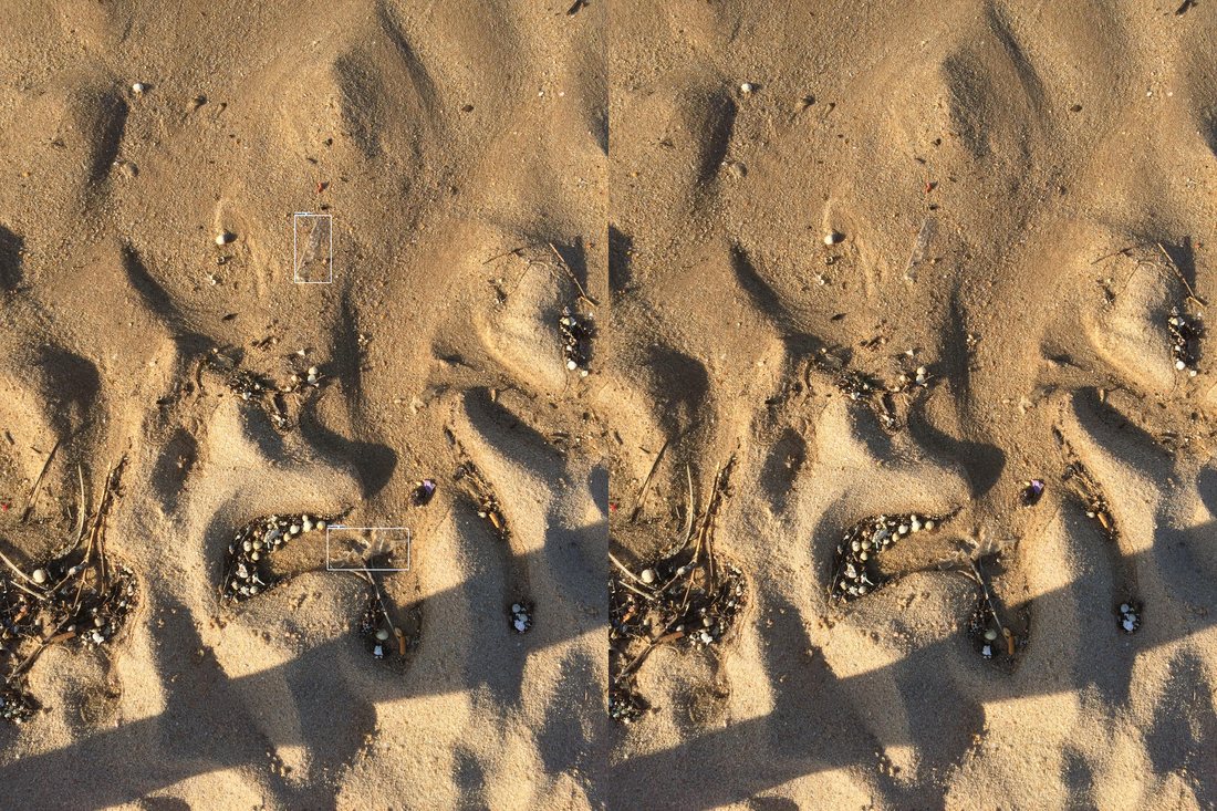 Plastic items lying on sand and dry grass that the model fails to detect.