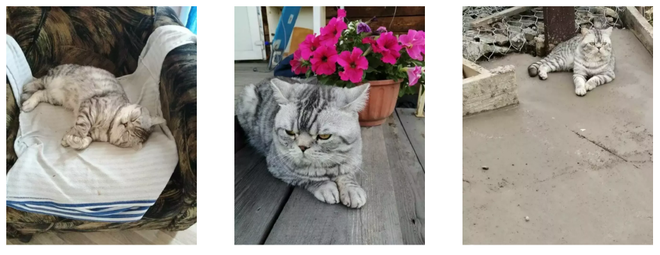 A grey tabby cat shown on a chair, on a deck and outdoors on stone, with different lighting and scale.