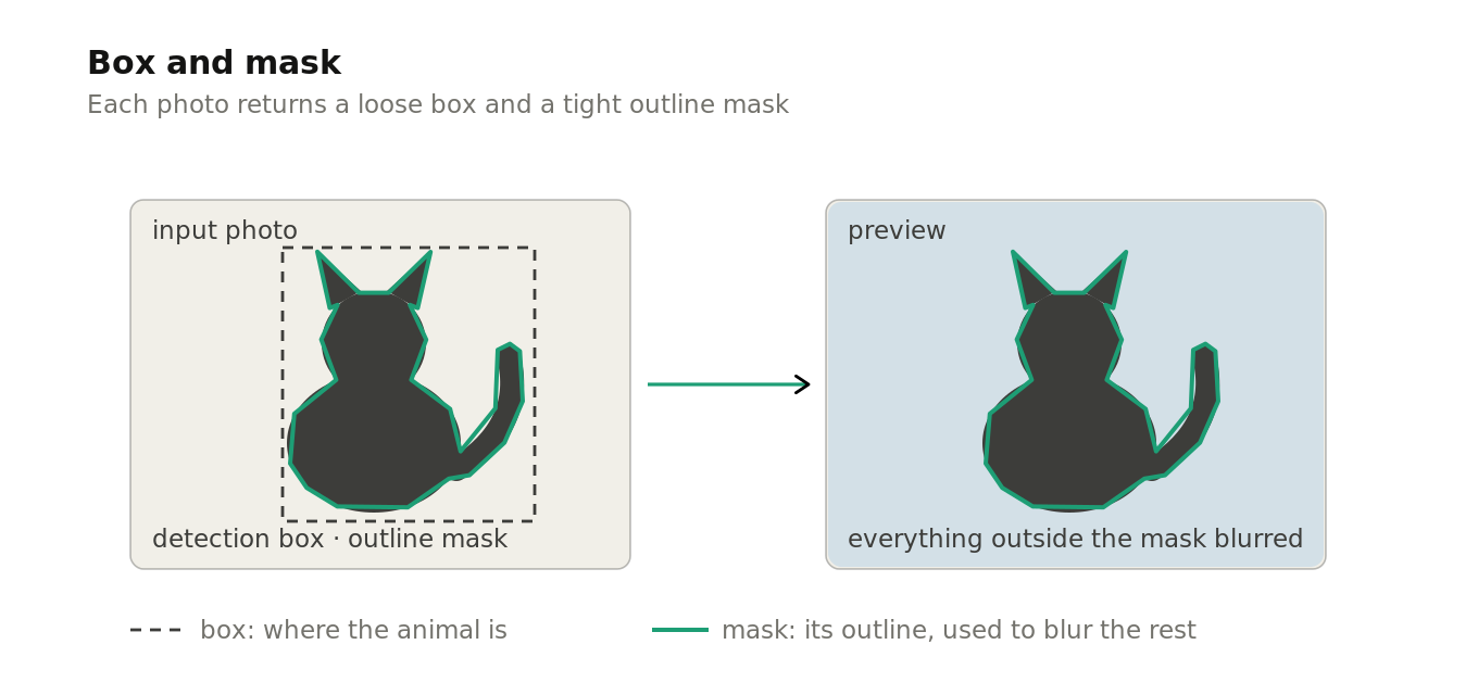 One pet photo with the detection box around the animal and a tighter outline mask inside it, used for cropping and for blurring everything outside the animal.
