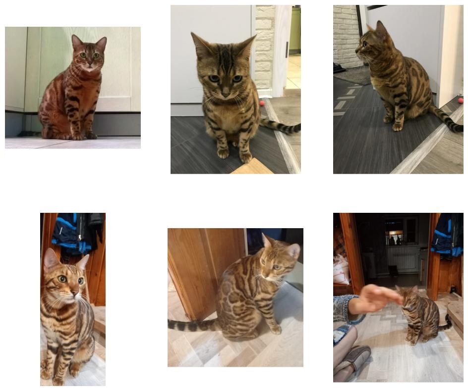 Six photos of brown spotted Bengal-type cats that look nearly identical.