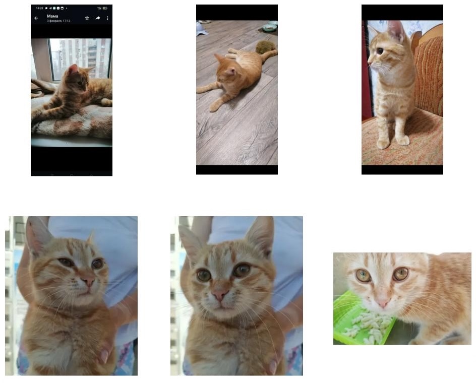 Six photos of ginger cats that closely resemble one another.