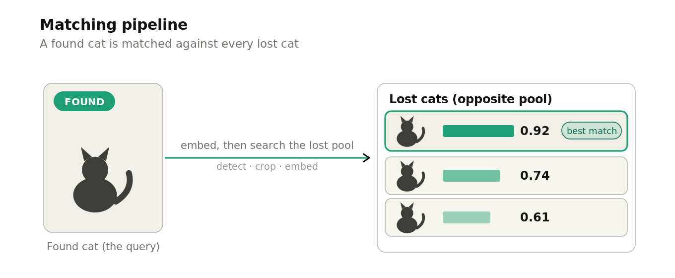 An illustrated five-stage pipeline: detect and segment the animal, crop it, embed the crop into a vector, search the opposite pool in vector space, and rank the matches.